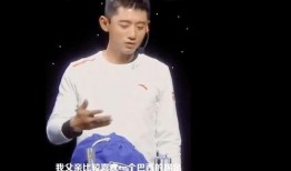 张继科事情爆料记者视频,真相与争议交织